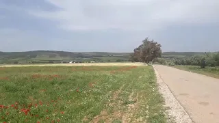 الراحل منذر الجبابلي بتي سهرانة 