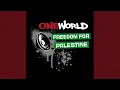 Freedom For Palestine (Drum \u0026 Bass Mix)