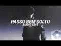 Lagu Passo bem solto (slowed) - atlxs [edit audio]