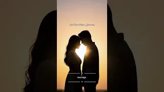 توليت   رجعيني لحلاوة البدايات دندنها