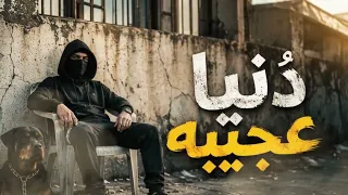 دنيا عجيبه                                                 العيشه احلا وسط كلاب  دندنها