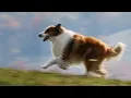 Download Lagu Lassie (1994) ORIGINAL TRAILER [HQ]