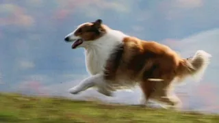Lassie 1994 ORIGINAL TRAILER HQ  Lassie 1994 ORIGINAL TRAILER HQ
