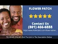 BEST FLORIST UTAH