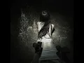 starly (Slowed)