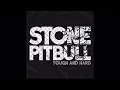 Tomohiro Ishii - Stone Pitbull (Entrance Theme)