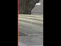 Atlanta tree pollen nearing peak here s how to protect yourself