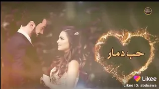 As Wr Wk Mee Kanii Jalallaa Dhugaa Bekuu Lakii Tuqaa 