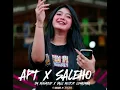 Download Lagu DJ PARTY APT THAILAND VIRAL PARTY STYLE X THAILAND X SALEHO | JM AUDIO MINIATUR