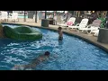 Alma Aquatic Park AR