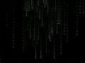 Draw a Computer special effects of the Matrix using python pygame