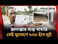 Download Lagu জানাজায় ব্যস্ত খামারি সেই সুযোগে ৮০০ হাঁস লুট | Duck loot | Natore | Kalbela
