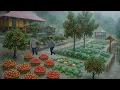Download Lagu Struggling to Survive the Storm: Harvesting Crops \u0026 Raising Giant Fish Tanks Off-Grid!