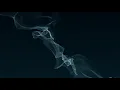 Joy Division - Love Will Tear Us Apart (Official Lyric Video)