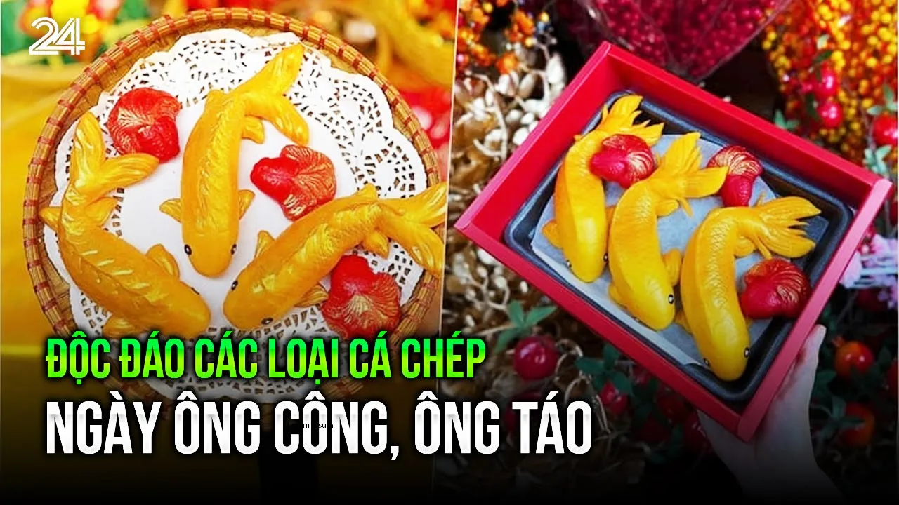 Outline Video Độc đáo các loại cá chép ngày ông Công, ông Táo | VTV24