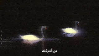 عادل عكلة   بعد هيهات  بالكلمات  دندنها