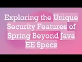 Exploring the Unique Security Features of Spring Beyond Java EE Specs