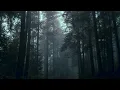 Ritual Hymns (Worm Shepherd Orchestral Cover)