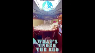 Bella’s Room the V berth