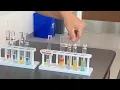 Macromolecule Lab Carbs simple and complex Lipids and Proteins