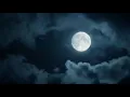 Claude Debussy - Clair de Lune (Orchestral Version)