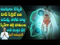 Download Lagu ఈ ఒక్క సీక్రెట్.. | Fast Immunity Booster Tip | Healthy Life | Dr Manthena Satyanarayana Raju Videos