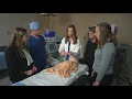 Wisconsin biomedical engineering students design life-saving device LiveBIG 2019-20