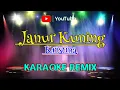 Lagu JANUR KUNING KRISTINA || KARAOKE DANGDUT REMIX ||@sonykaraokeofficial