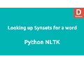 Lookup Synset wordnet Python NLTK