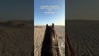 حاله واتس ابو هيبه عيني علي اللي فوق كتفه حمول جبلين أبو هيبة 
