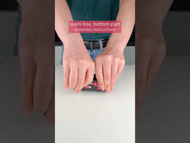 Sushi Kit for Sushi Lover, Box & Chopsticks video thumbnail