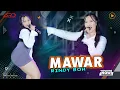 Download Lagu Ubur Ubur Ikan Lele Live - Mawar - Rindy BOH (Official Music Video)
