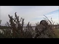 MVN Motion Decoys System - Goose duck hunt 10 7 18 clip