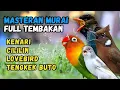 Lagu Masteran Murai Tembakan Lovebird, Kenari, Cililin dan Tengkek Buto