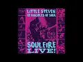 LITTLE STEVEN & THE DISCIPLES OF SOUL - Groovin' Is Easy (live audio 2017)