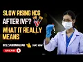 Slow Rising HCG After IVF What It Really Means bit