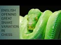 ENGLISH OPENING GREAT SNAKE VARIATION IN CHESS