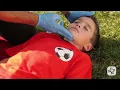 What is Shock PALS Algorithm Training