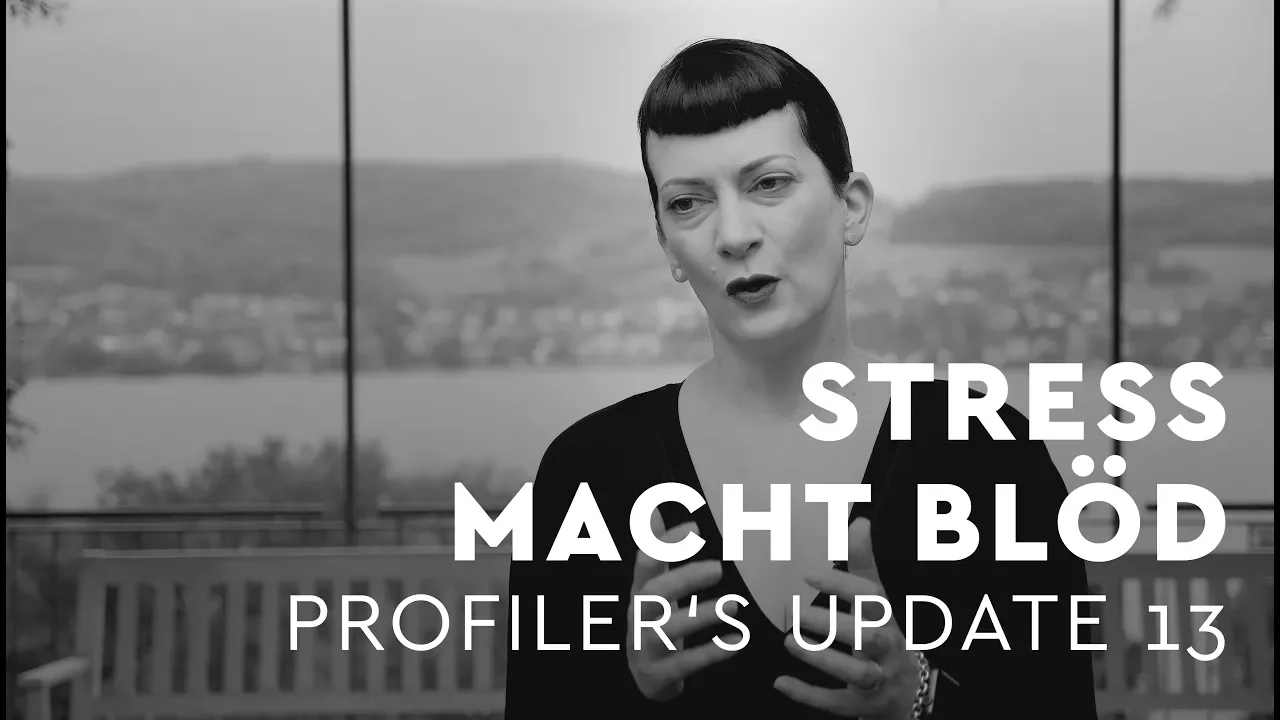 Stress macht blöd - Profiler's Update 13