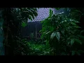 🔴 Rainforest Rain Sounds for Sleeping Rain Sounds with Thunder