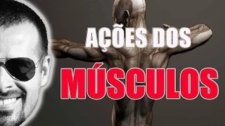 Sistema Muscular: Ação dos músculos (macete fácil de aprender) - Anatomia Humana - VideoAula 023