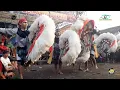 Download Lagu Tembang Jaranan KENO GODHO ~  Legowo Putro Live Sonoageng ~ Pelangi Audio