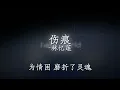 伤痕 - 林忆莲 歌词版