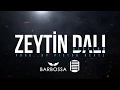 Download Lagu Geeflow Musab - Zeytin dalı (2018)