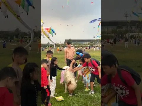 Hóng Ngày Khai Chương Lắm Rồi - Mật Pet Farm Sài Gòn