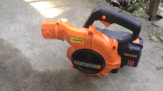                                             دندنها
