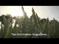 Download Lagu Muhammad mashabi • harapan hampa (cover)  #harapanhampa #mmashabi #muhammadmashabi