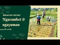 Lagu Ngarambet dan Ngayuman Sebuah Tarekah Petani agar Padi Tumbuh dengan Baik