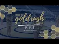 Georgia Tech Goldrush P Y T - 2021
