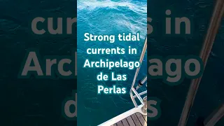Strong tidal currents in Archipelago de Las Perlas, Panama, Pacific Side. #captaingermanexploring